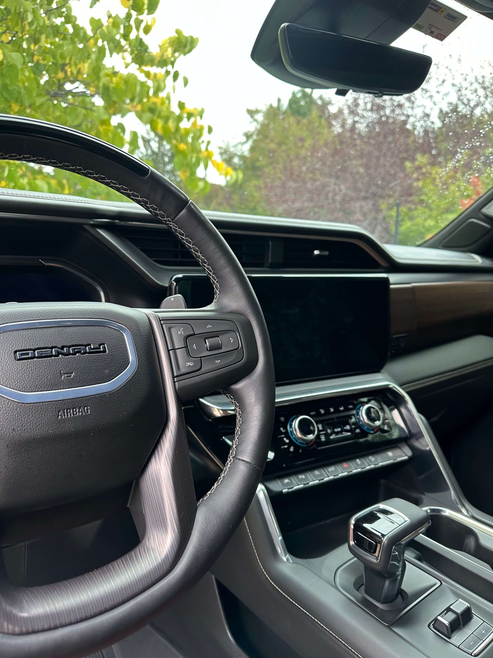 Professional auto detailing